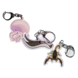 Acrylic Keychain - Invertebrates & Fish