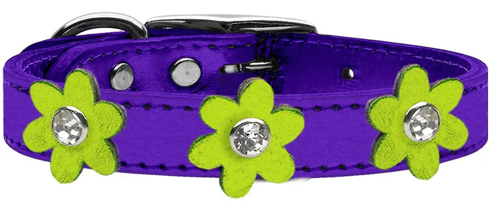 Metallic Flower Leather Collar Metallic Purple With Metallic Lime Green Flowers Size 18